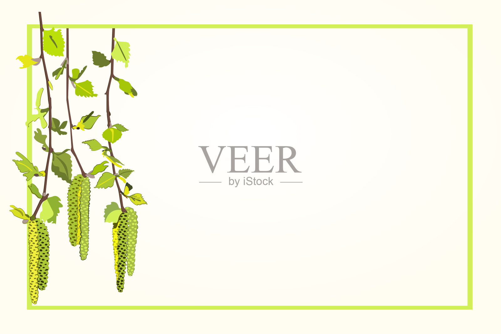 贺卡与桦树春笋插画图片素材