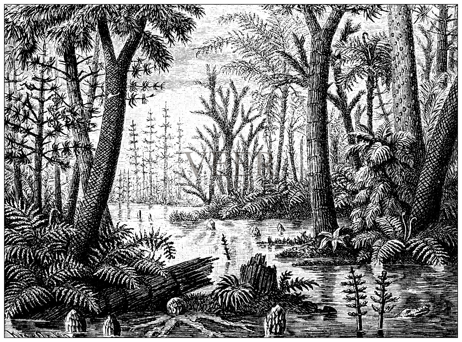 古董插图:史前丛林插画图片素材