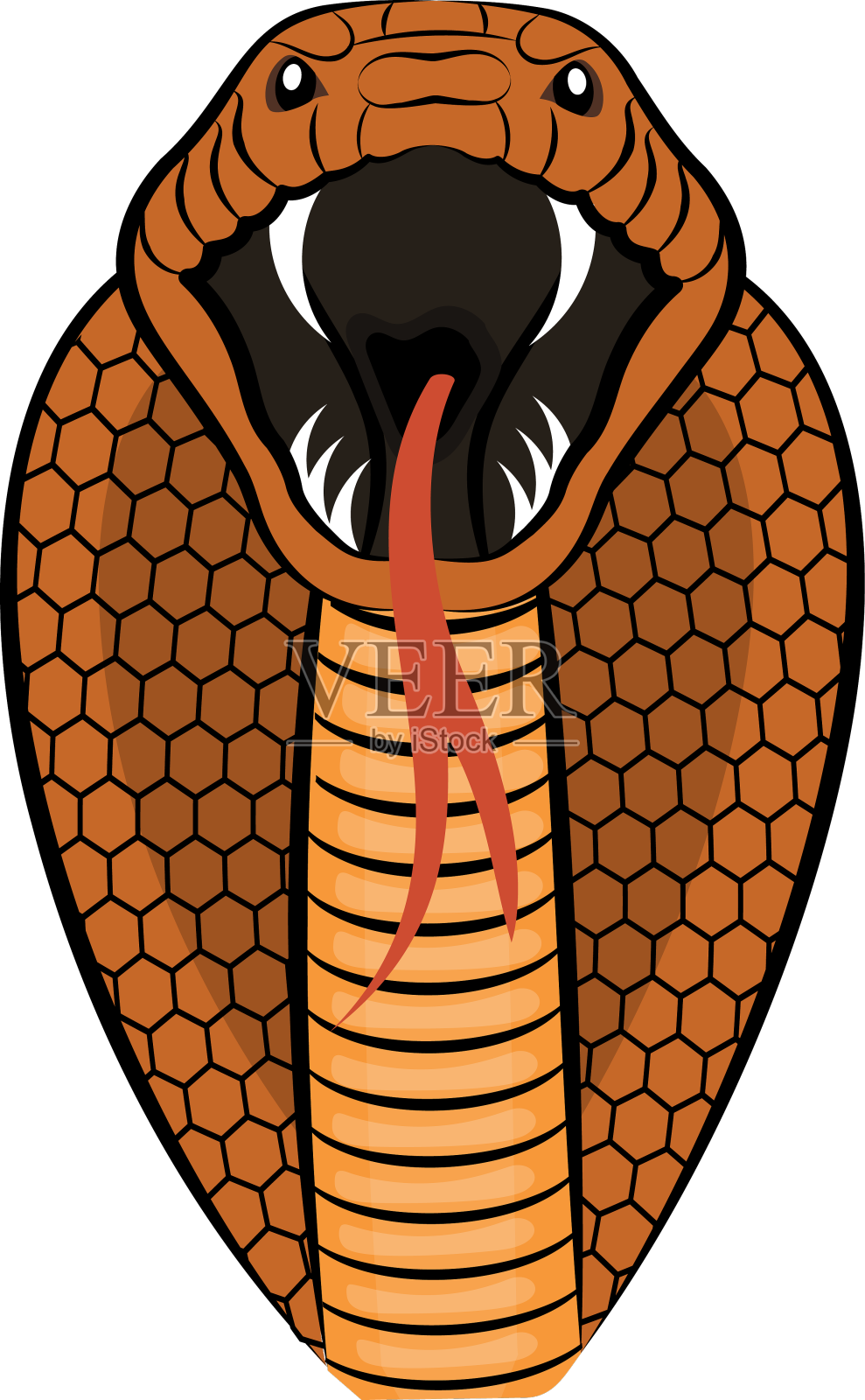 蛇设计元素图片