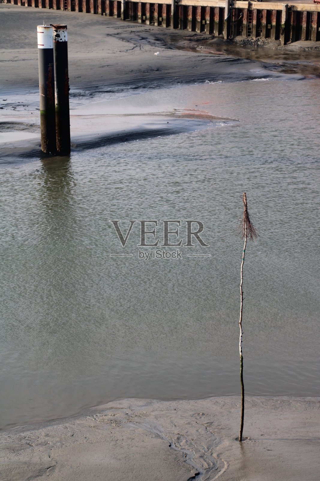 东弗里斯兰岛的尤斯特港照片摄影图片