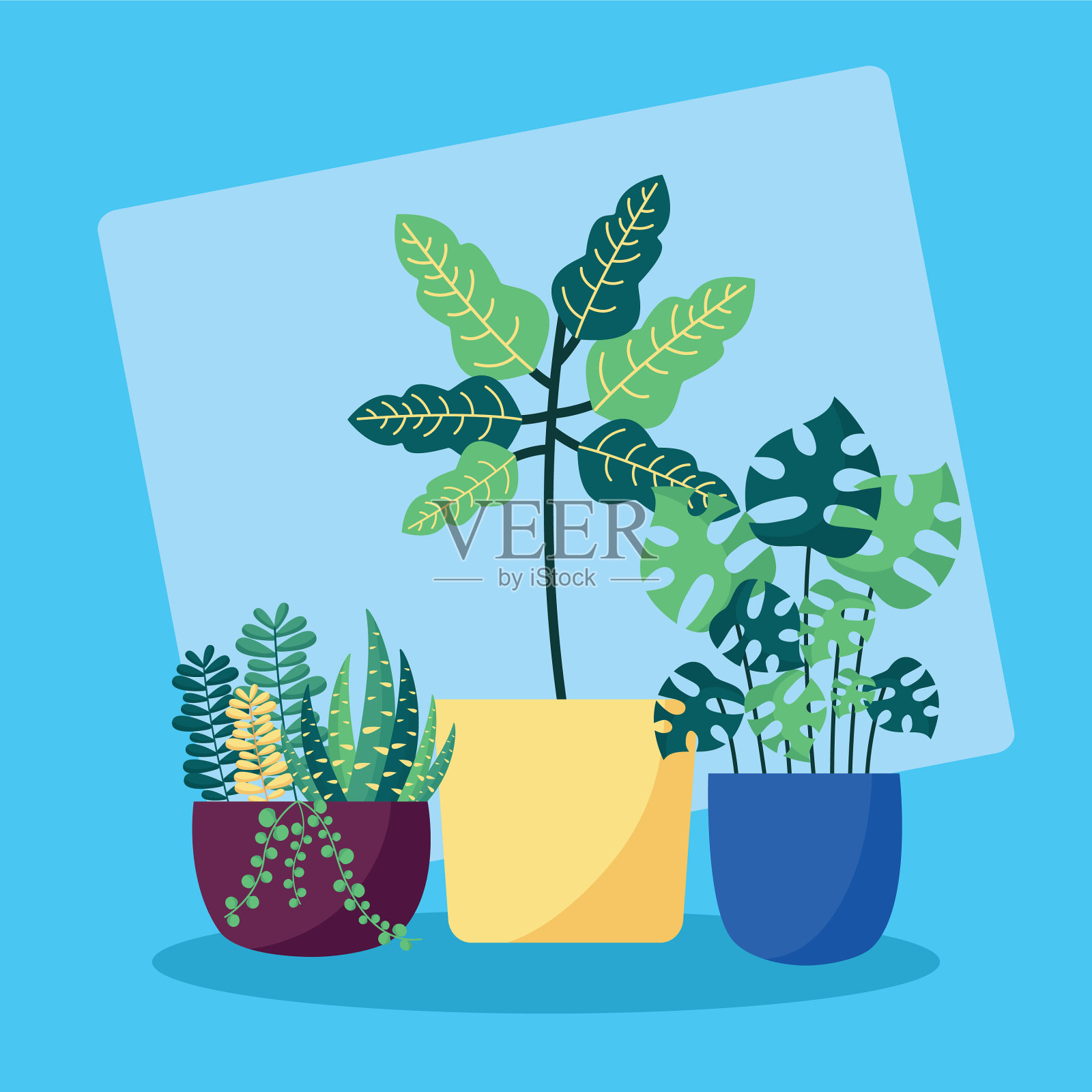 装饰植物平面形象设计插画图片素材