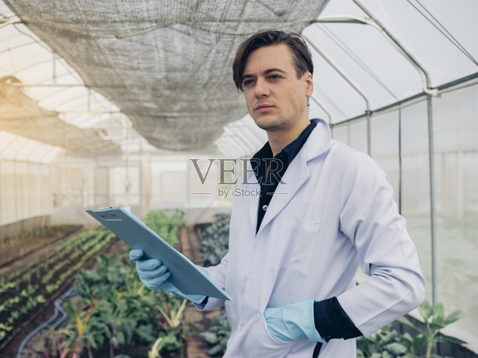 科学家分析温室里的植物照片摄影图片