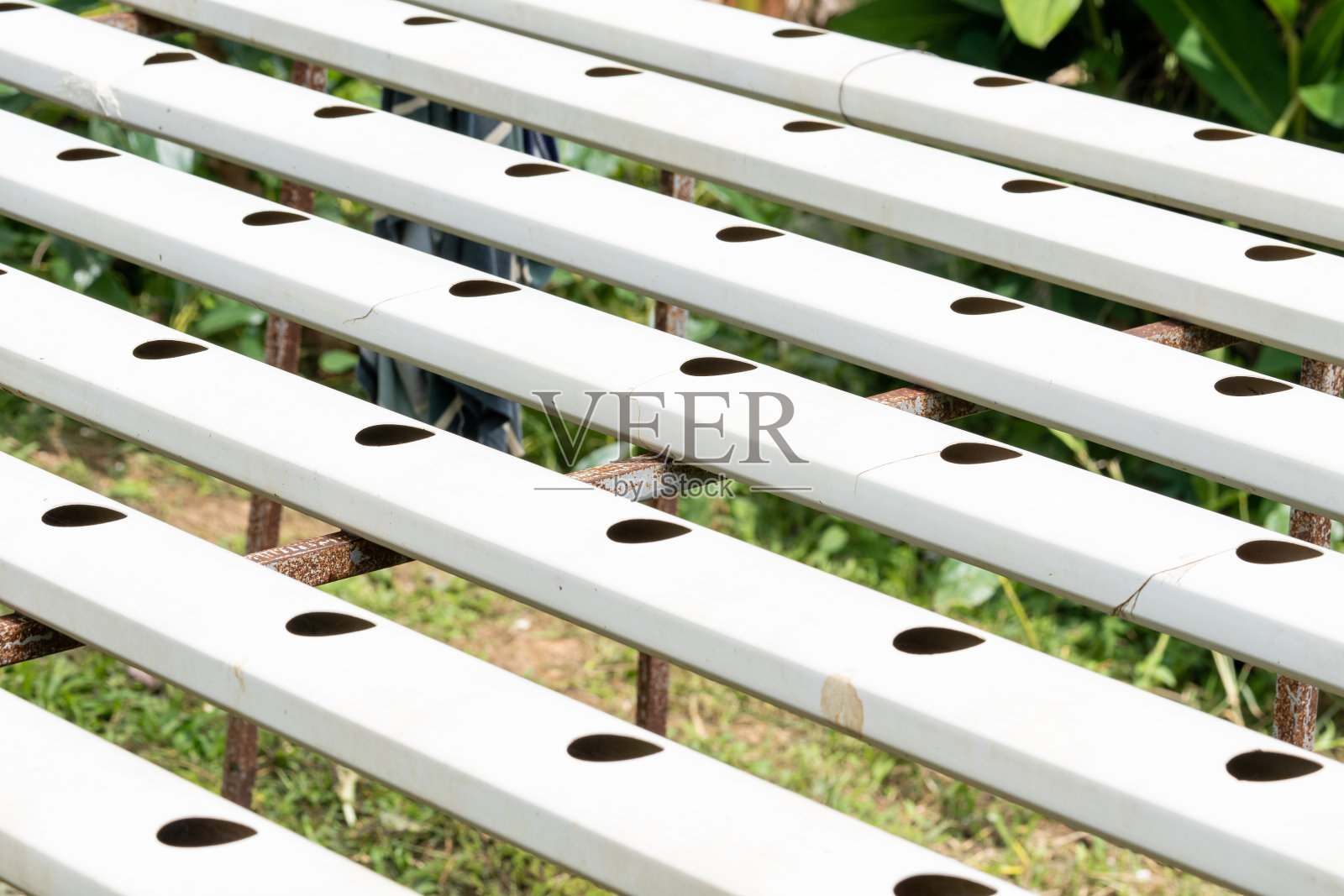 有机蔬菜种植区和水培蔬菜有机水培蔬菜农场照片摄影图片