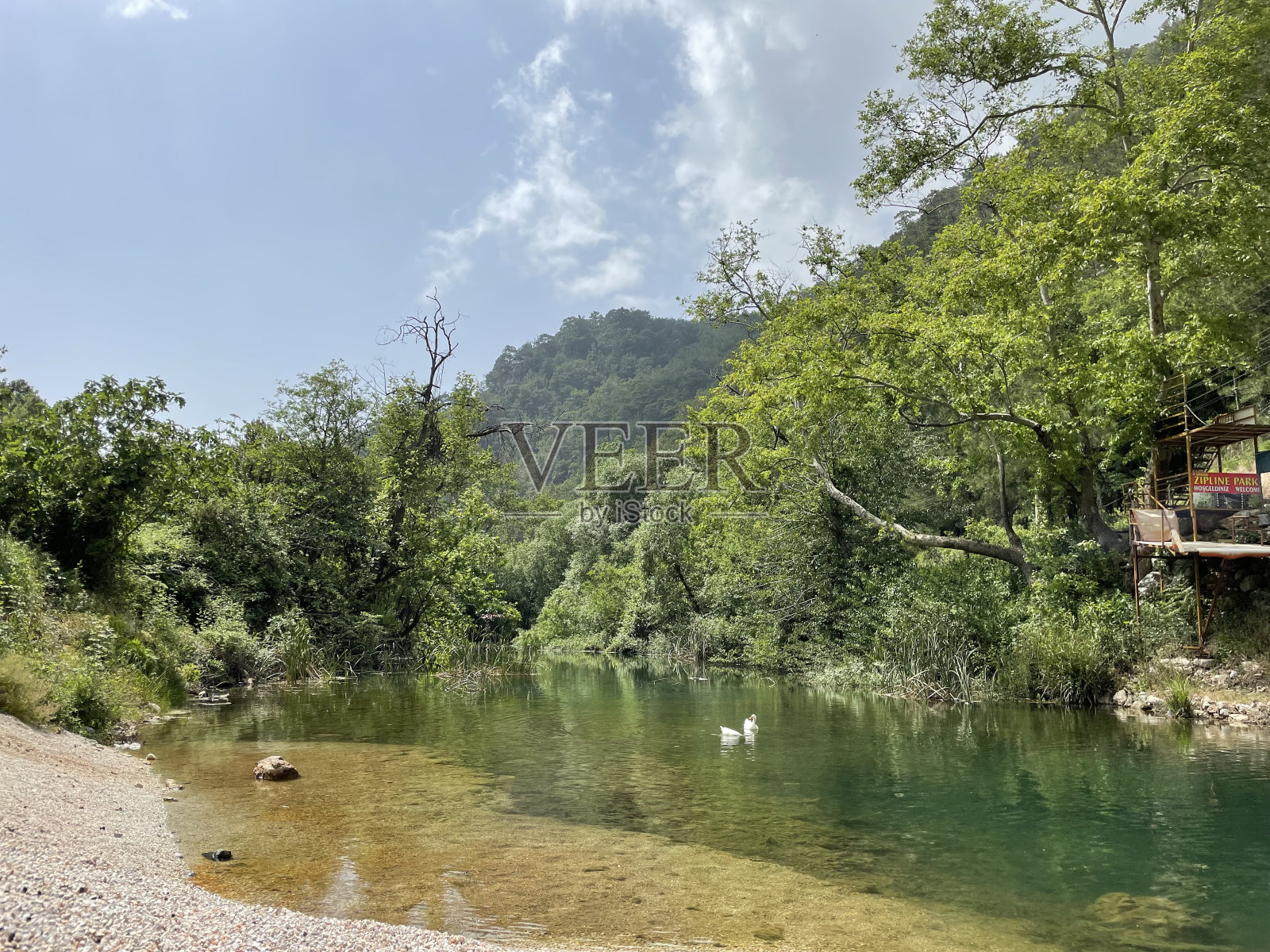 森林河照片摄影图片
