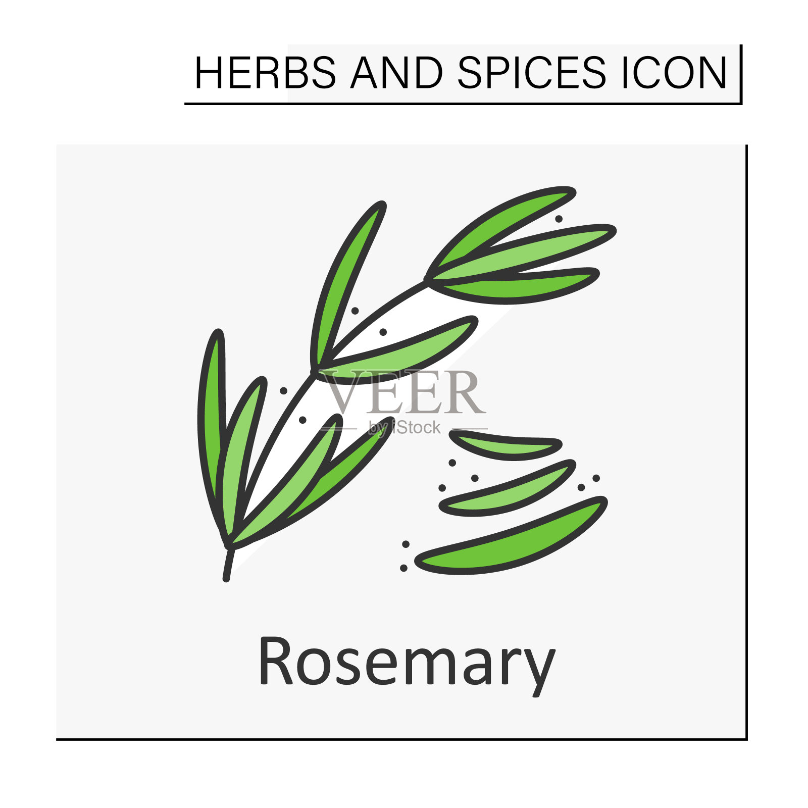 迷迭香彩色图标插画图片素材