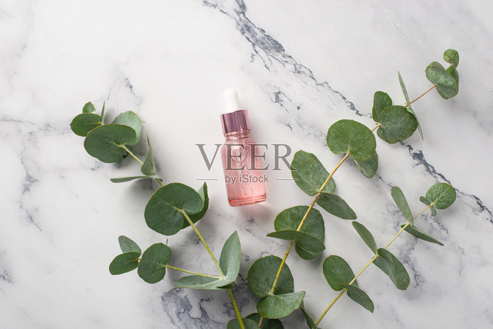 天然化妆品的概念。俯视图照片的粉红色透明玻璃滴管瓶和桉树在白色大理石背景照片摄影图片