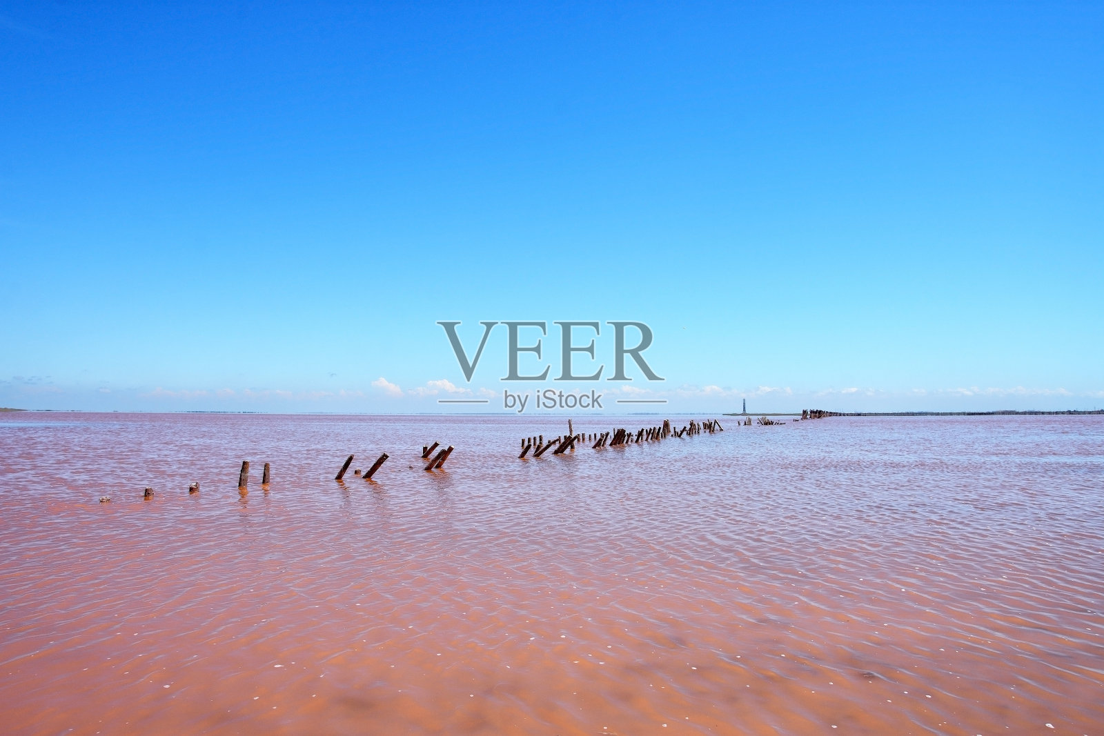 克里米亚的粉红盐湖照片摄影图片