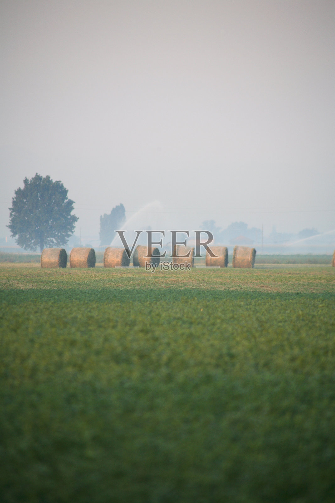 波河流域的乡村景色。意大利照片摄影图片