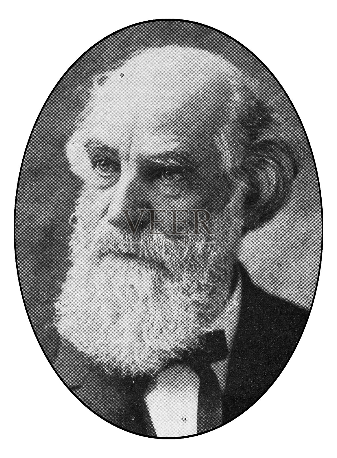 著名纽约人的肖像:纳尔逊·西泽插画图片素材