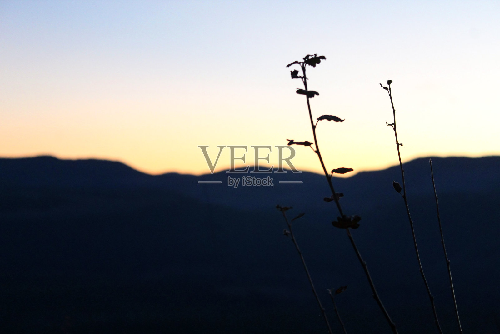 蓝色的小时照片摄影图片