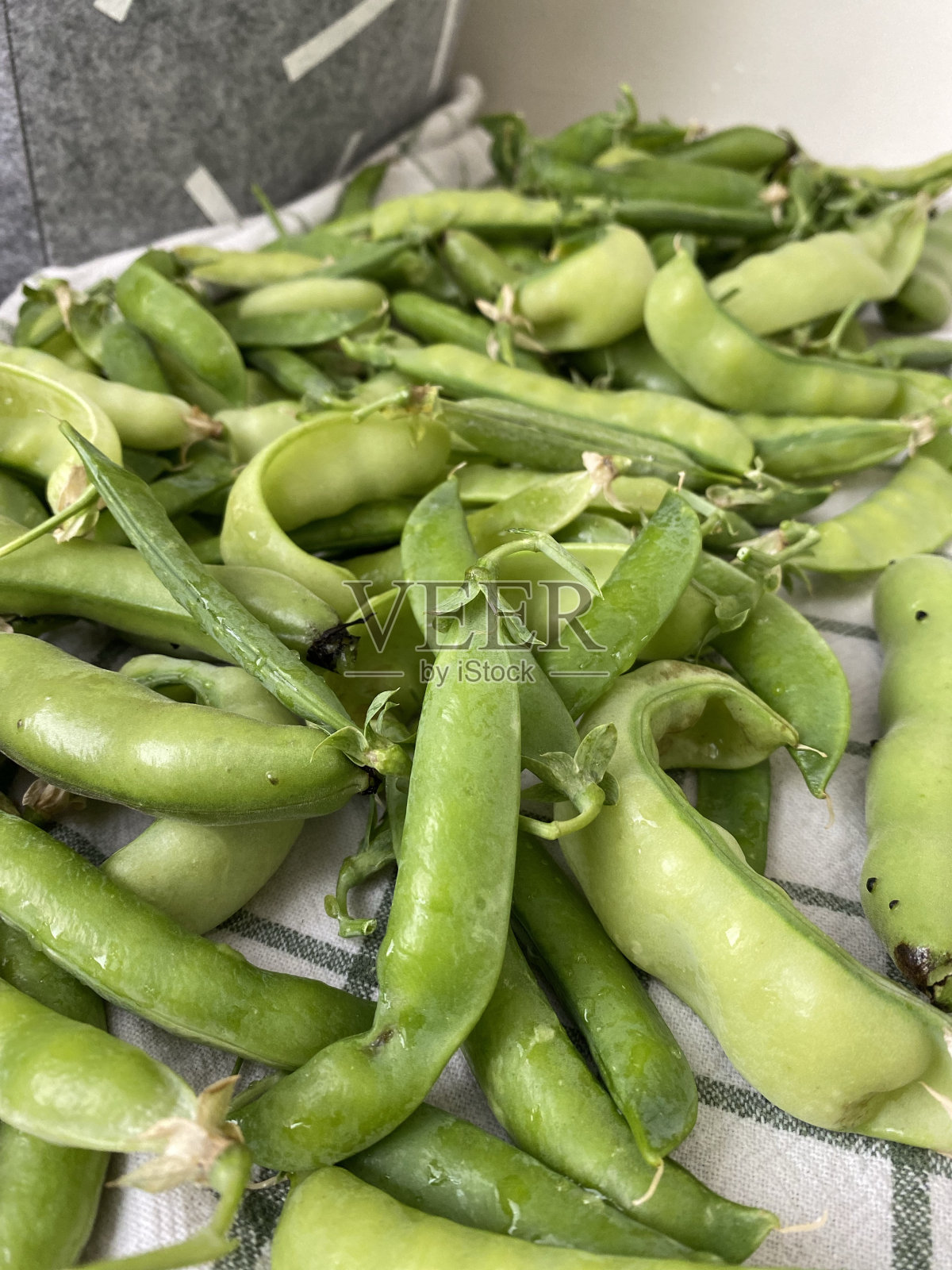 青糖豆照片摄影图片