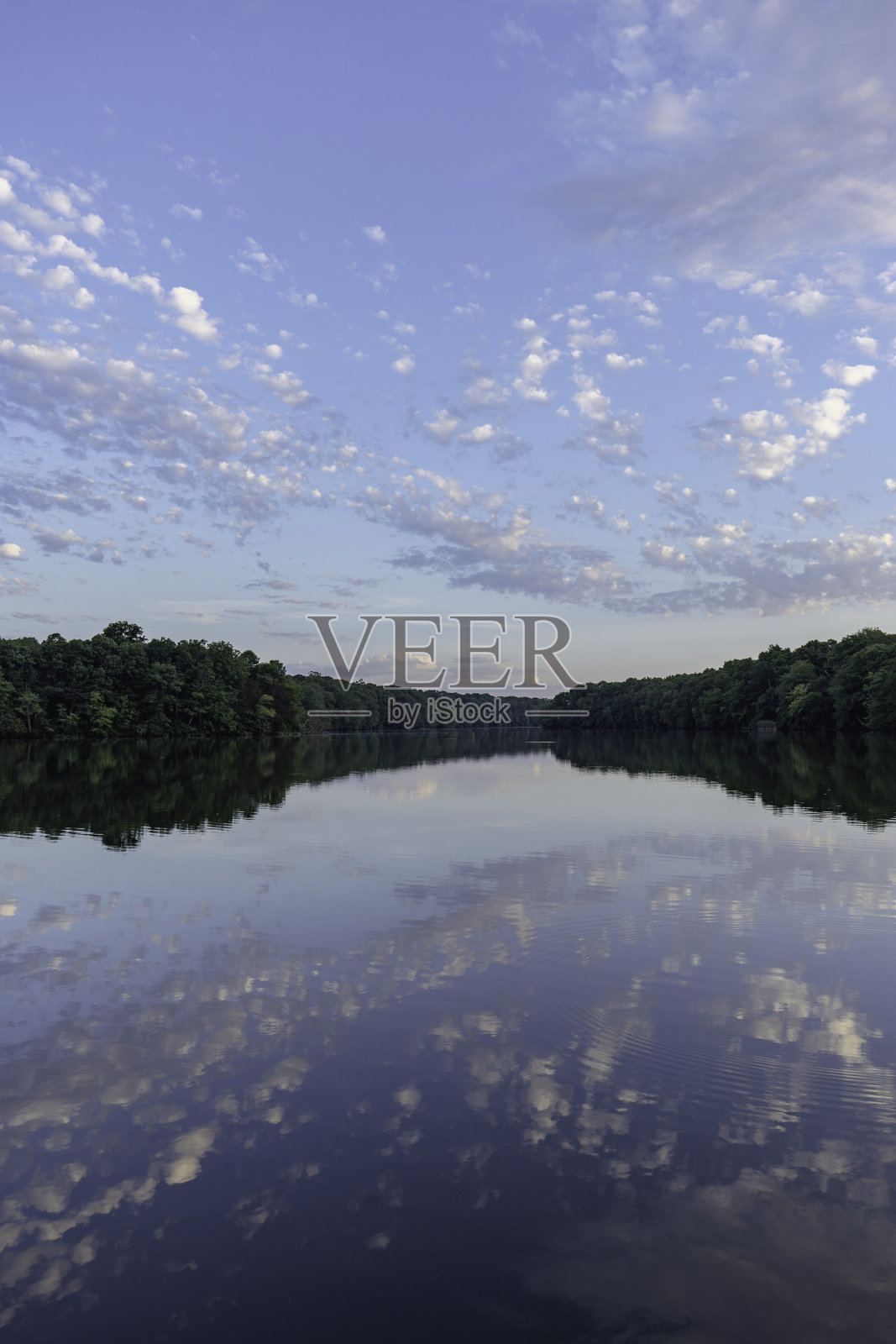 1号树桩池塘的早晨风景照片摄影图片