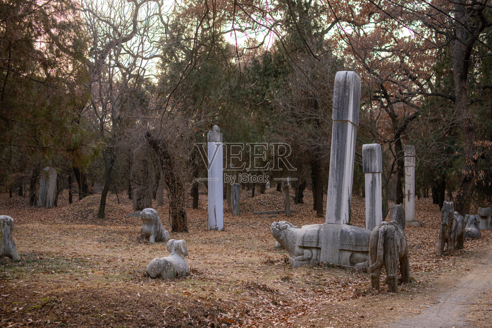 中国古代孔子墓园,有马、狮子和羊的雕像照片摄影图片