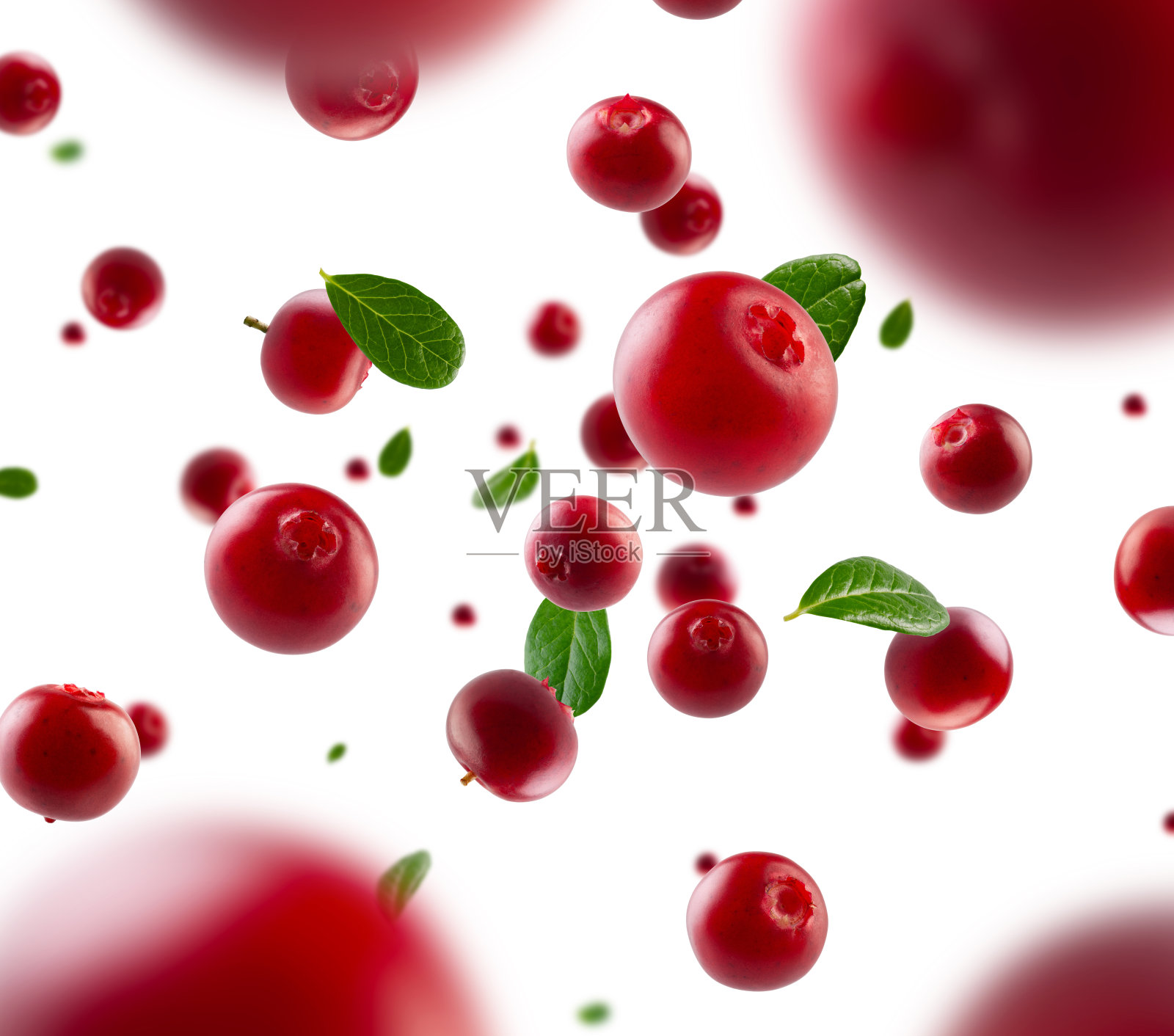 完美修饰的蔓越莓与树叶在太空中飞行和悬浮。从后面环绕光线。孤立在白色上。照片摄影图片