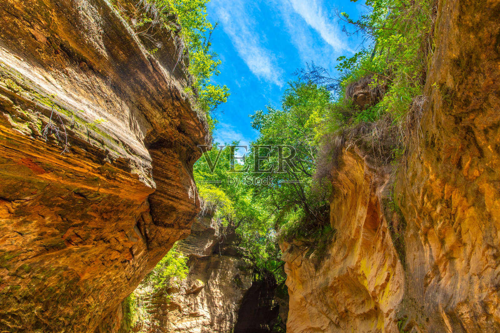 中国陕西的自然风景区——雨茶峡谷照片摄影图片