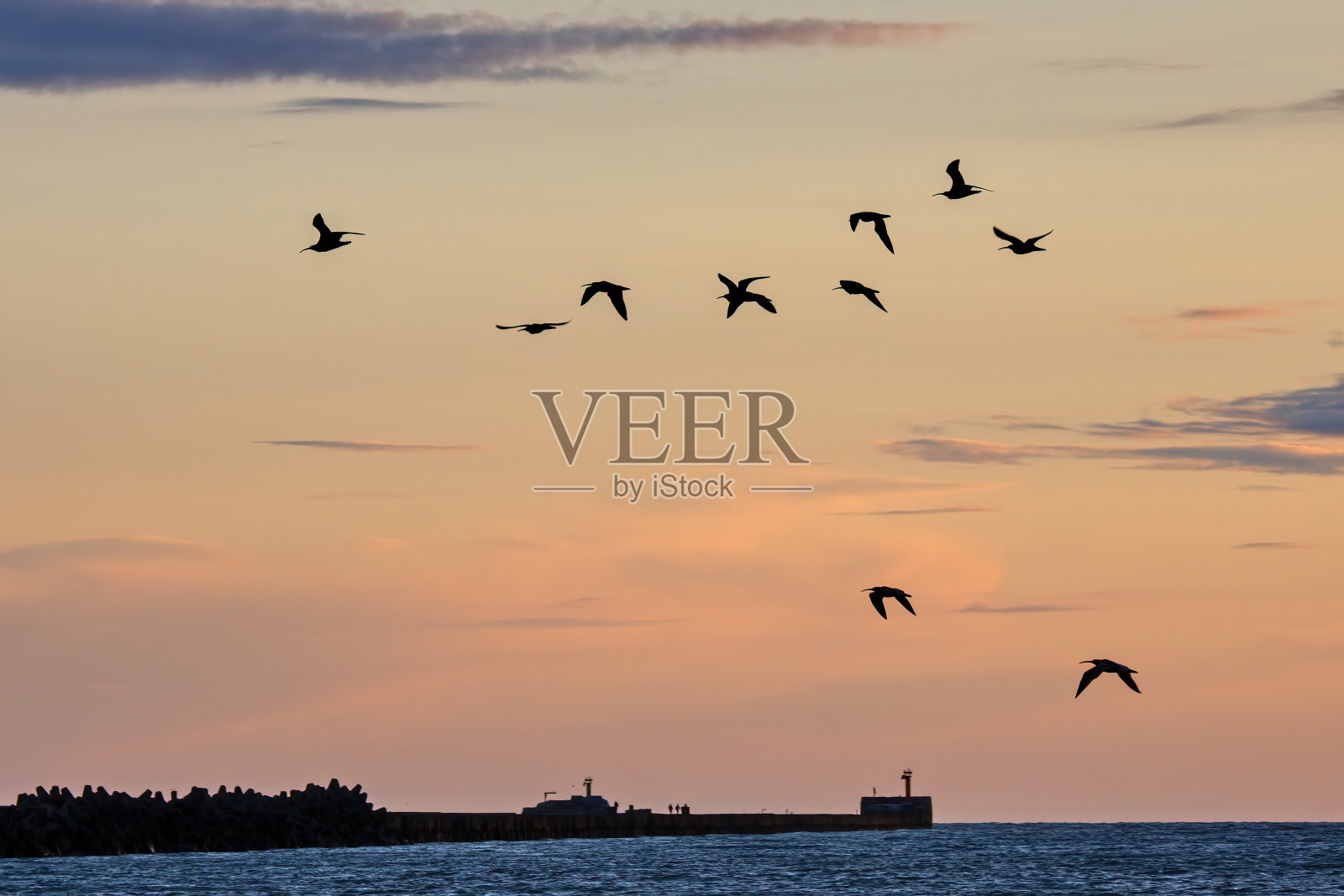 一群鸻/ Numenius arquata在日落的天空中飞过大海。照片摄影图片