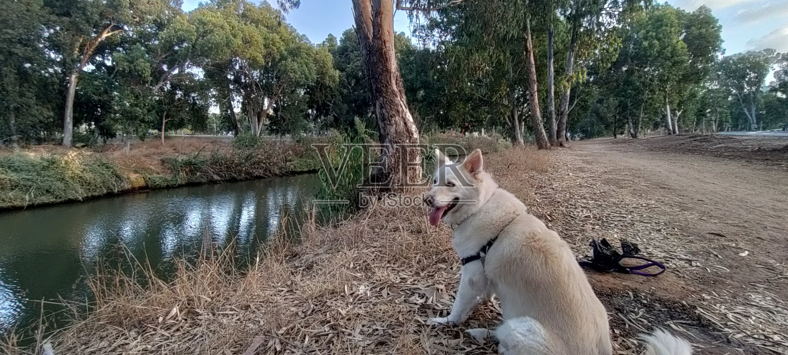 公园里的爱丽丝,第一部分照片摄影图片