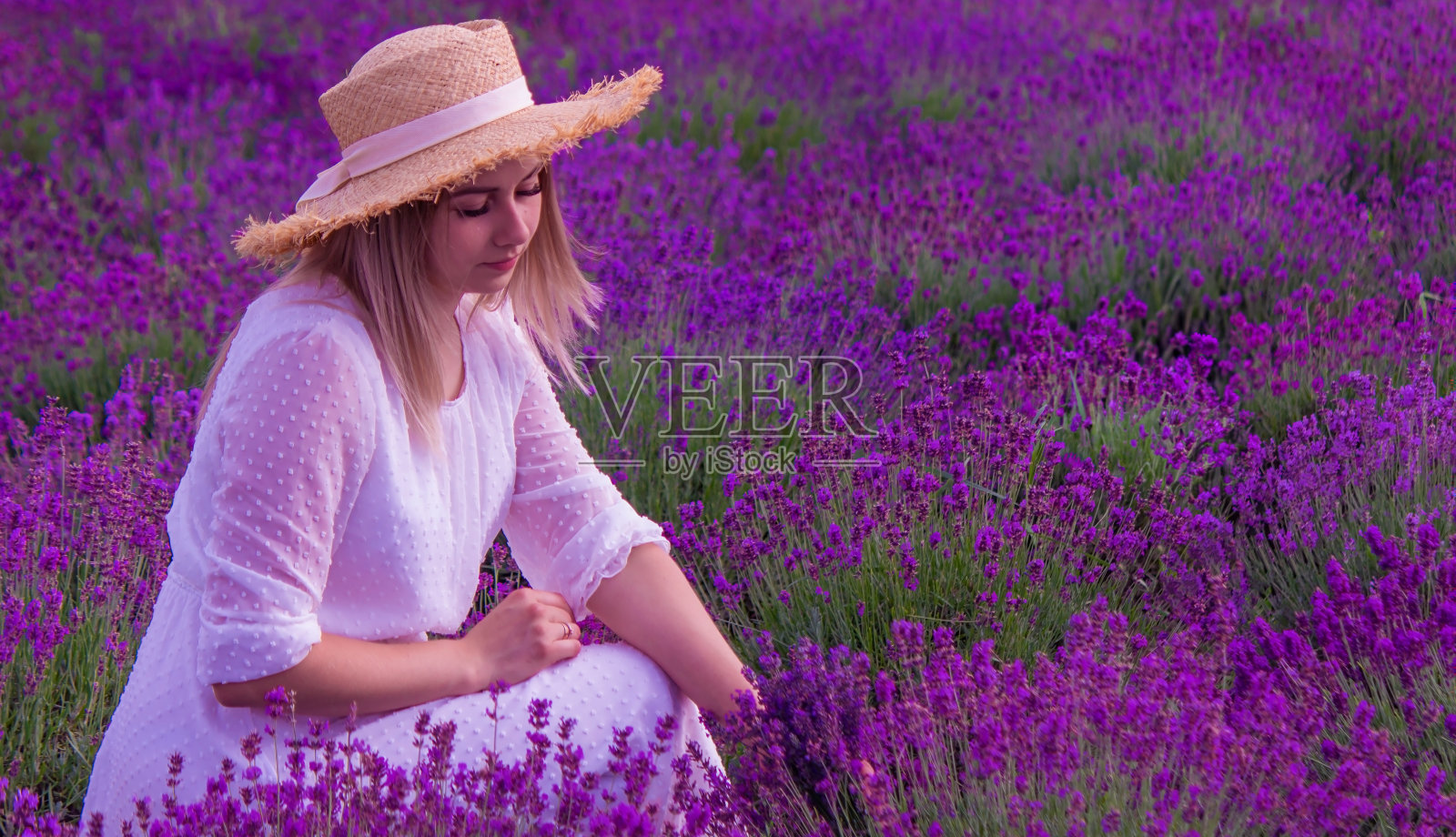 薰衣草地里的女孩。有选择性的重点。照片摄影图片