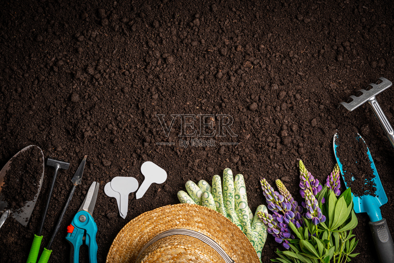 园艺工具和植物照片摄影图片