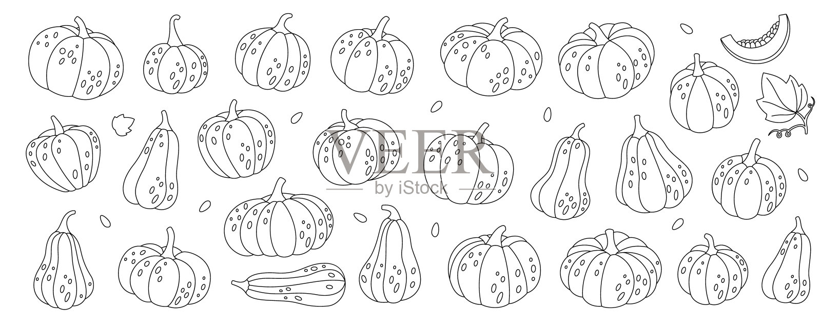 南瓜轮廓集。秋天的南瓜。秋天万圣节的蔬菜。矢量插图。插画图片素材