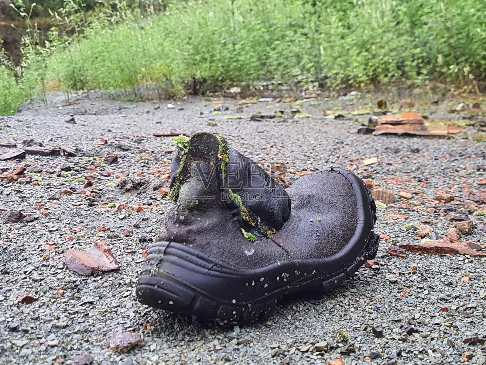 被遗弃在森林里的旧鞋照片摄影图片