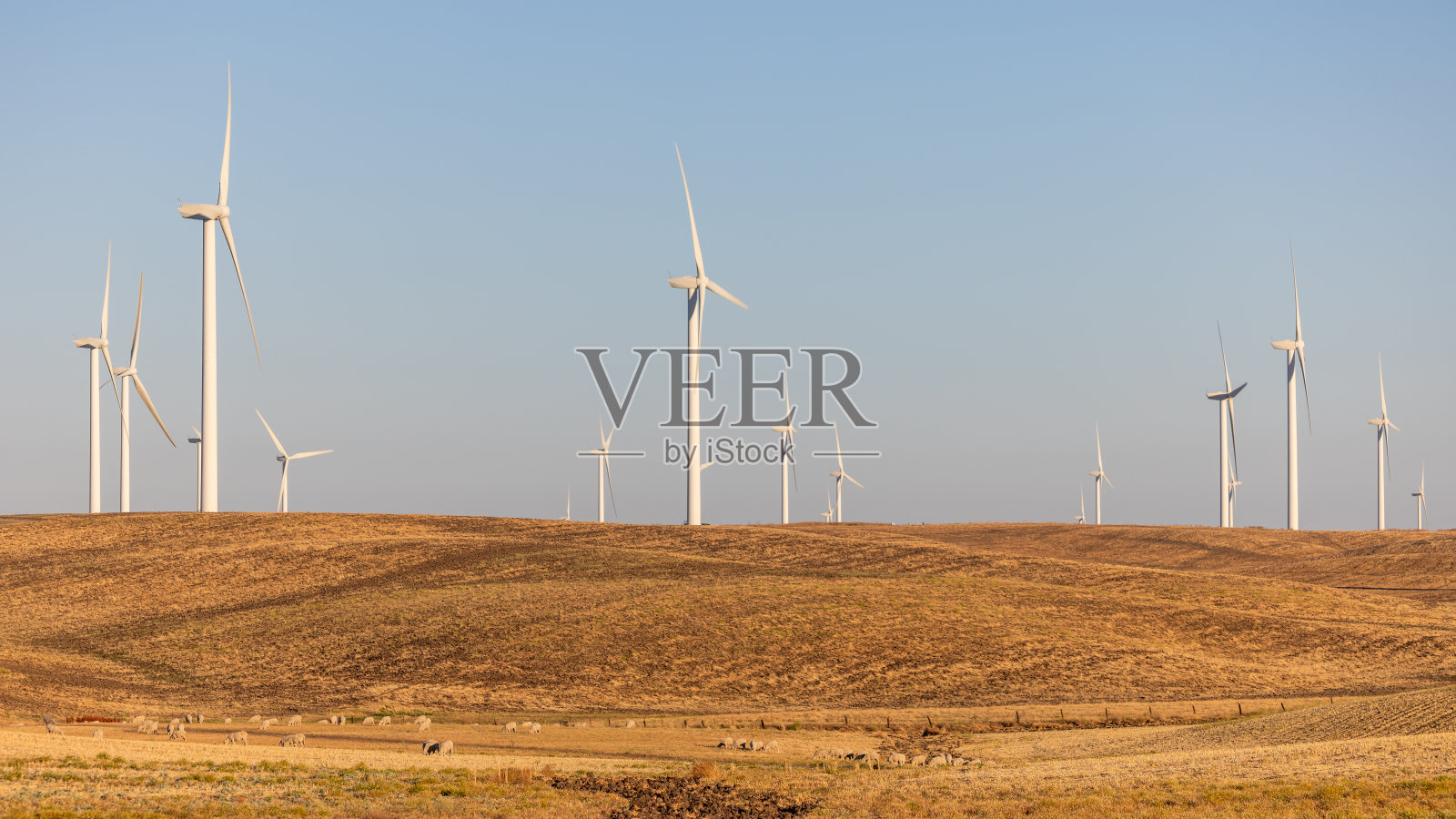 索拉诺县的风力涡轮机照片摄影图片