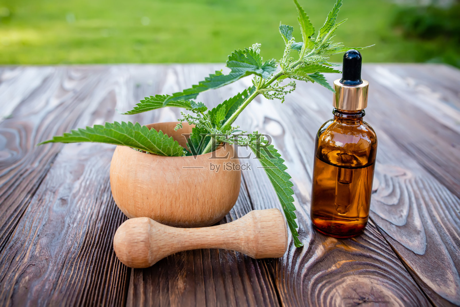把新鲜的荨麻叶子放在木臼里。从夏季草本植物中制备长生不老药和熏油。化妆瓶和移液器放在木桌上。照片摄影图片