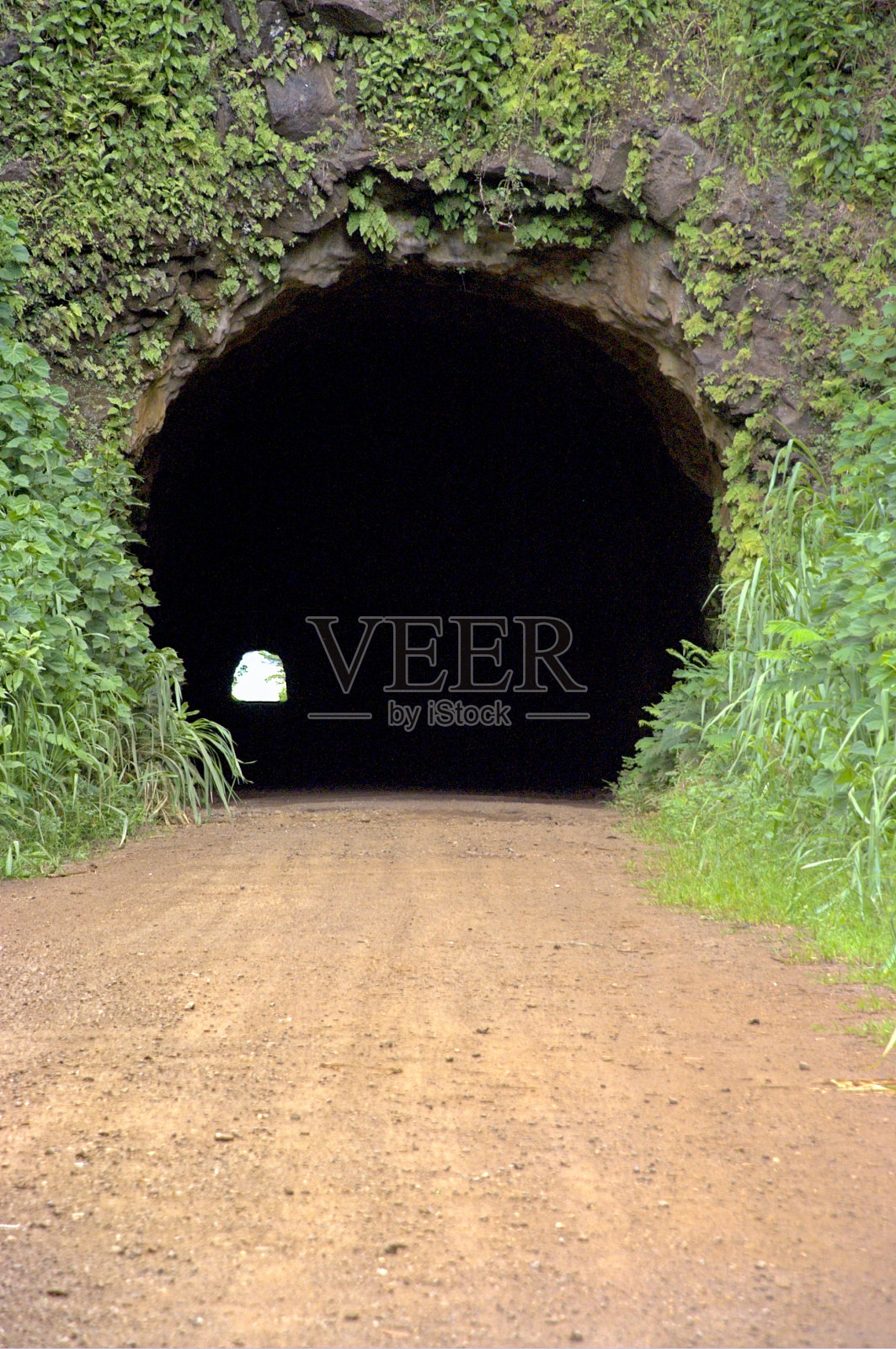 考艾岛熔岩管——入口照片摄影图片