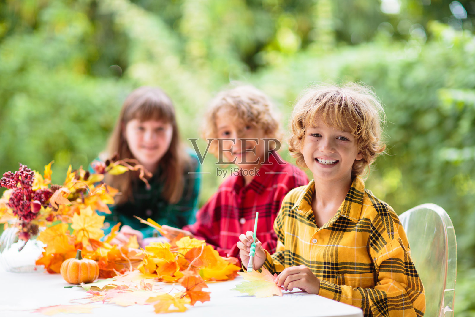 秋天的家居装饰。家庭装饰房子。照片摄影图片