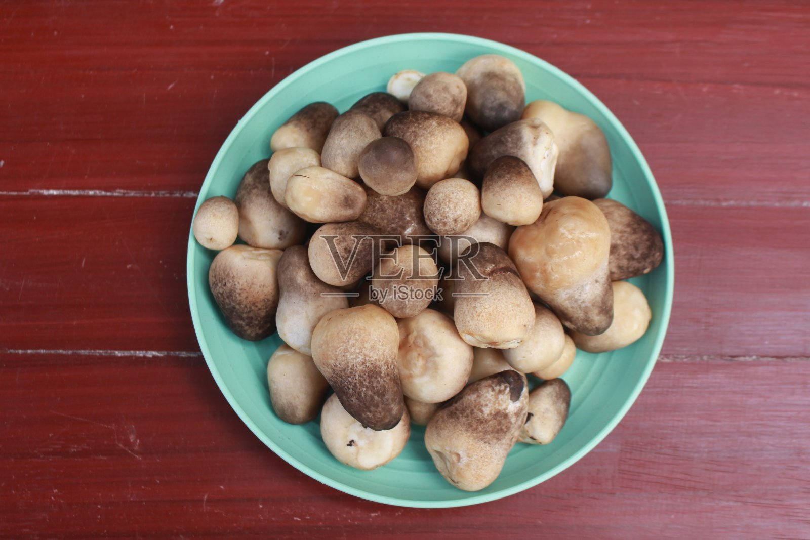 Volvariella volvacea照片摄影图片