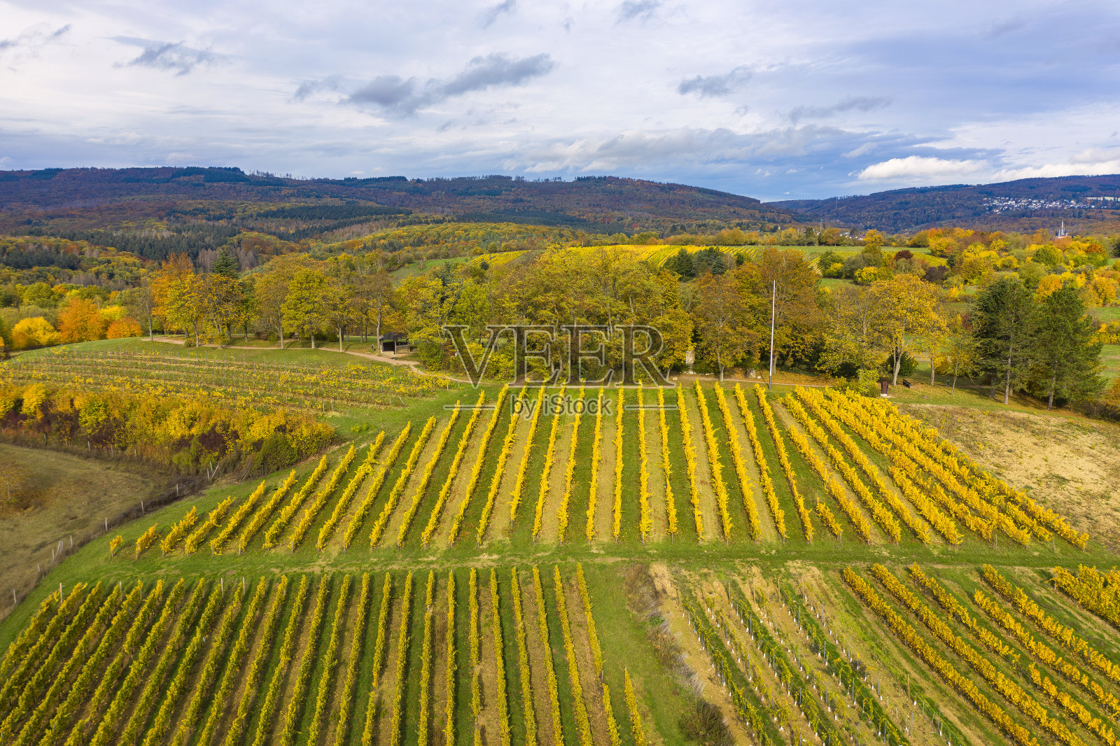 德国莱茵高的金色十月照片摄影图片