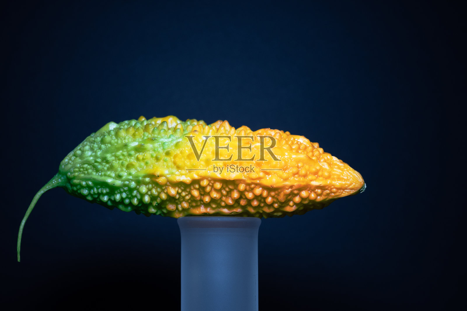 黑底苦瓜(苦瓜)照片摄影图片