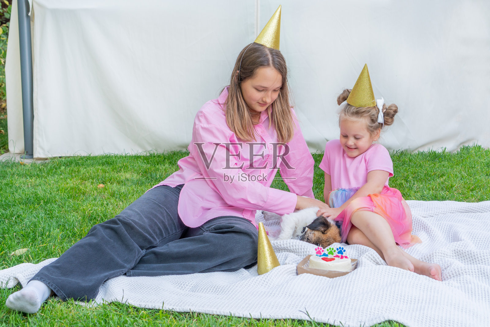 快乐的两个女孩姐妹在他们家的花园里用美味的蛋糕庆祝他们的狗的生日,在后院戴着节日的帽子。可爱的杰克罗素梗宠物和自己的生日派对。节日庆祝概念。给狗的蛋糕。照片摄影图片