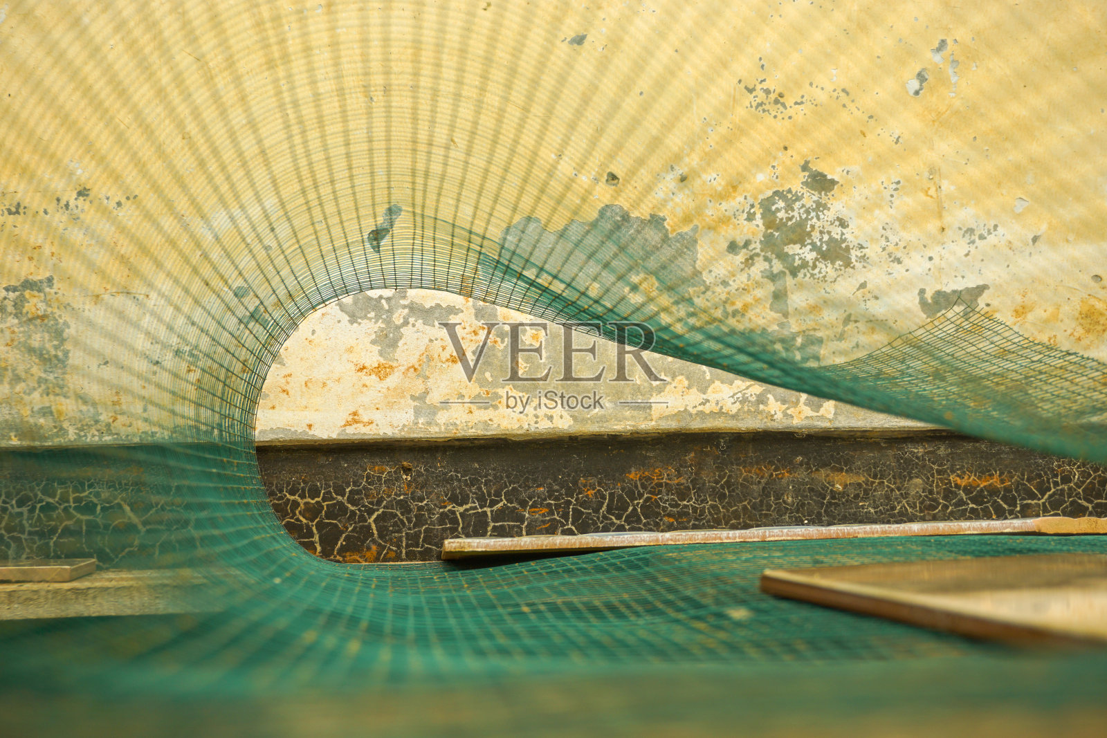 库存照片与空白空间在橙树,橙田背景。用于产品展示蒙太奇照片摄影图片