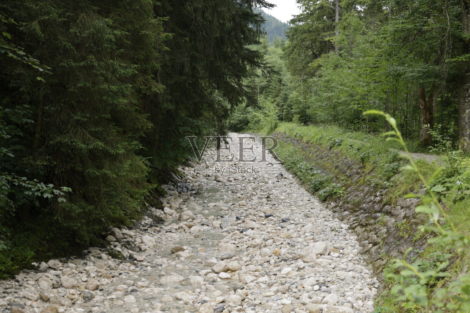贝希特斯加德纳土地上的阿切河干流照片摄影图片