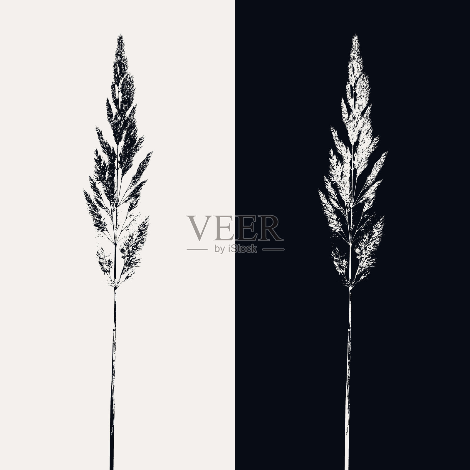 垃圾风格的抽象构图。在浅色和黑色背景上的植物剪影。照片摄影图片