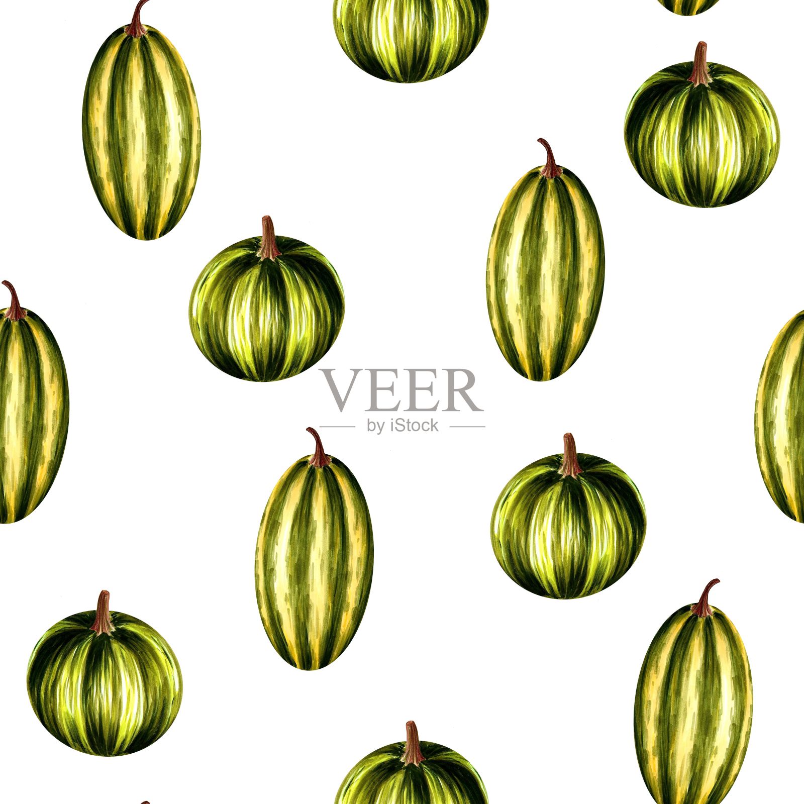 无缝图案从彩色南瓜在白色的背景,手绘标记插图在水彩技术插画图片素材