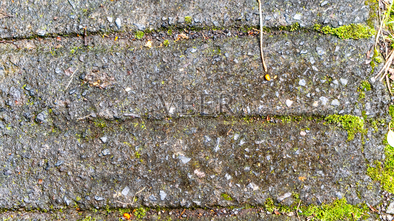 旧的混凝土道路已经开始破损,长满了苔藓照片摄影图片