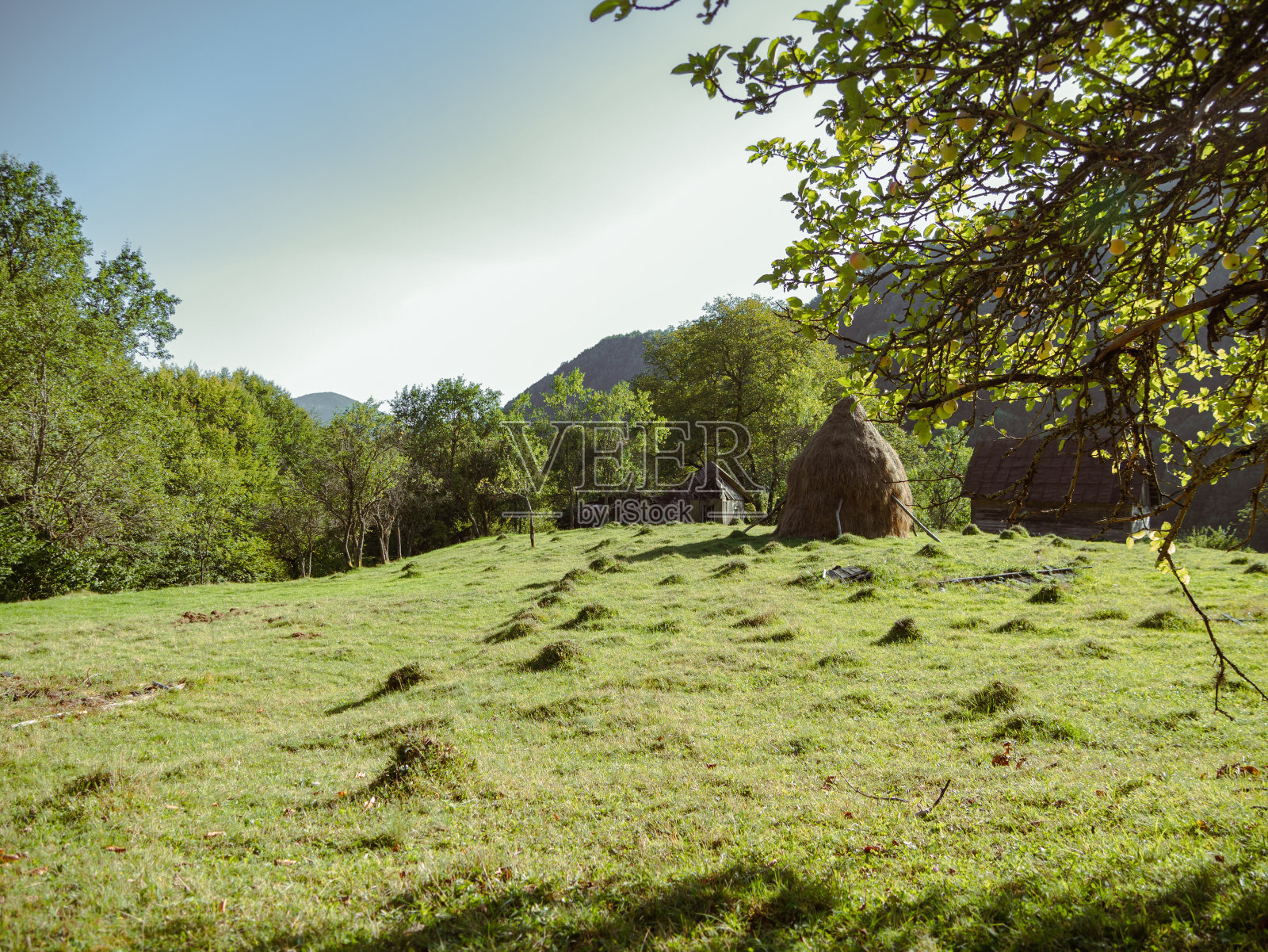 欧洲乌克兰喀尔巴阡山脉村庄草地上的草垛。当地乡村旅行徒步小径Cottagecore照片摄影图片