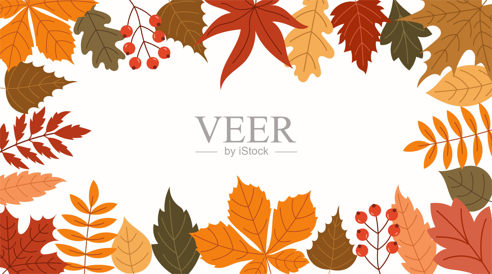 秋天的框架里有不同的树叶插画图片素材