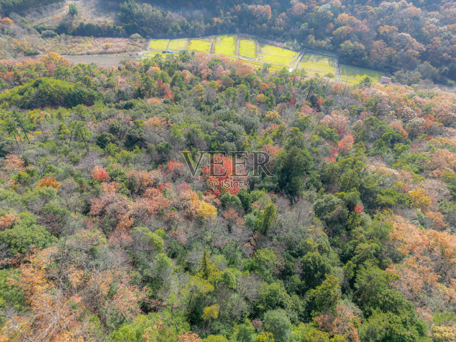 Kanka谷照片摄影图片