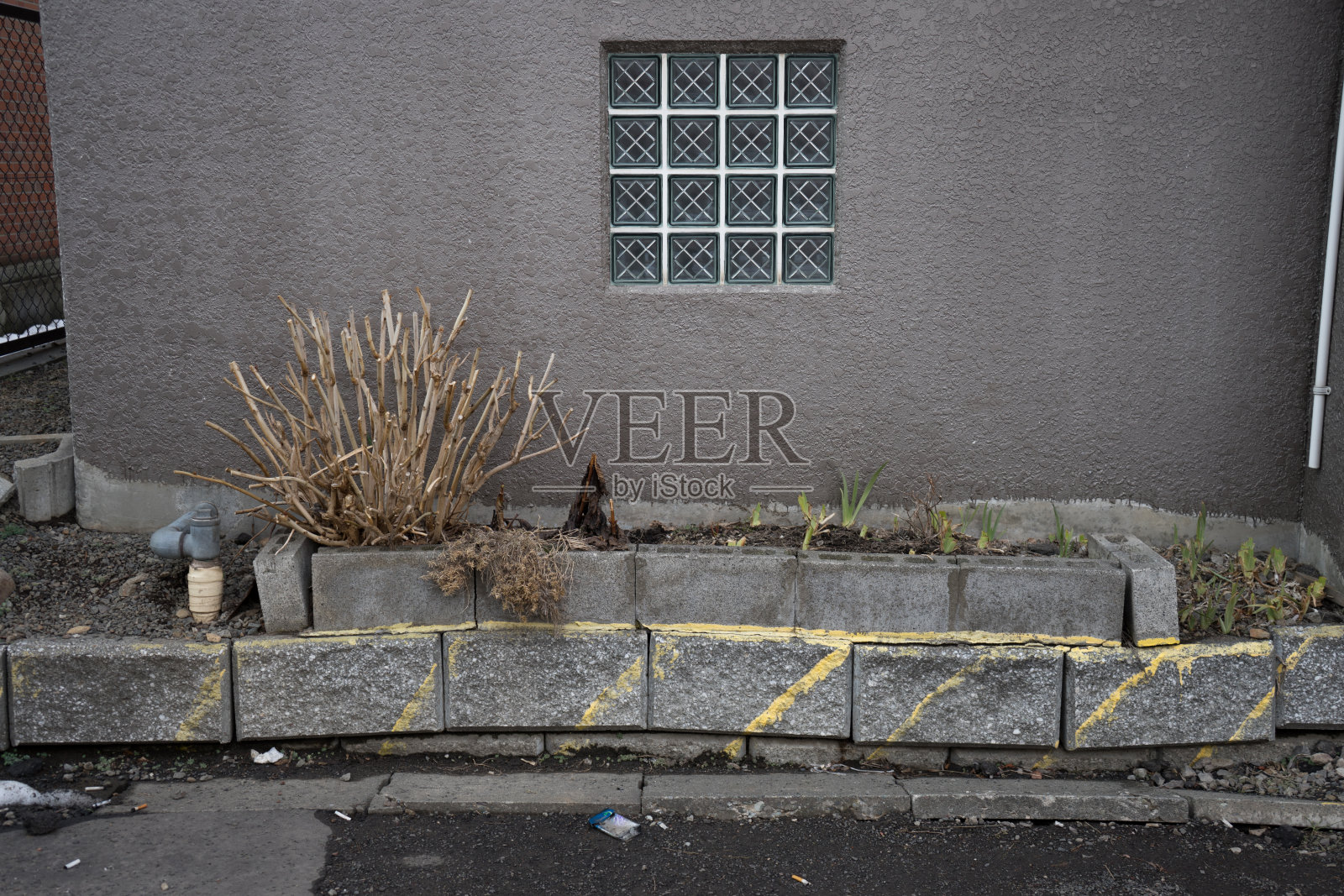 在老房子前面照片摄影图片