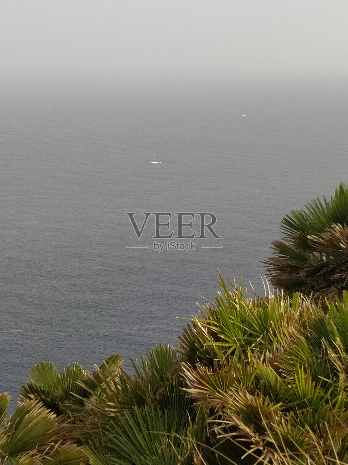 从科伦坡的观点来看。Pollensa照片摄影图片