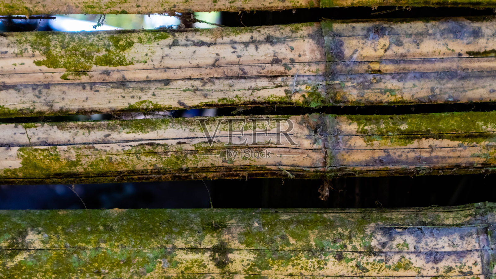 青苔竹墙面纹理作为背景照片摄影图片