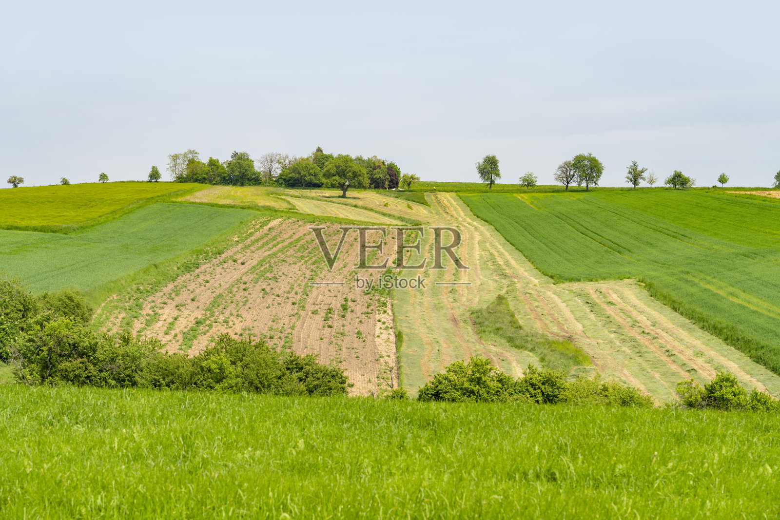 农村的风景照片摄影图片
