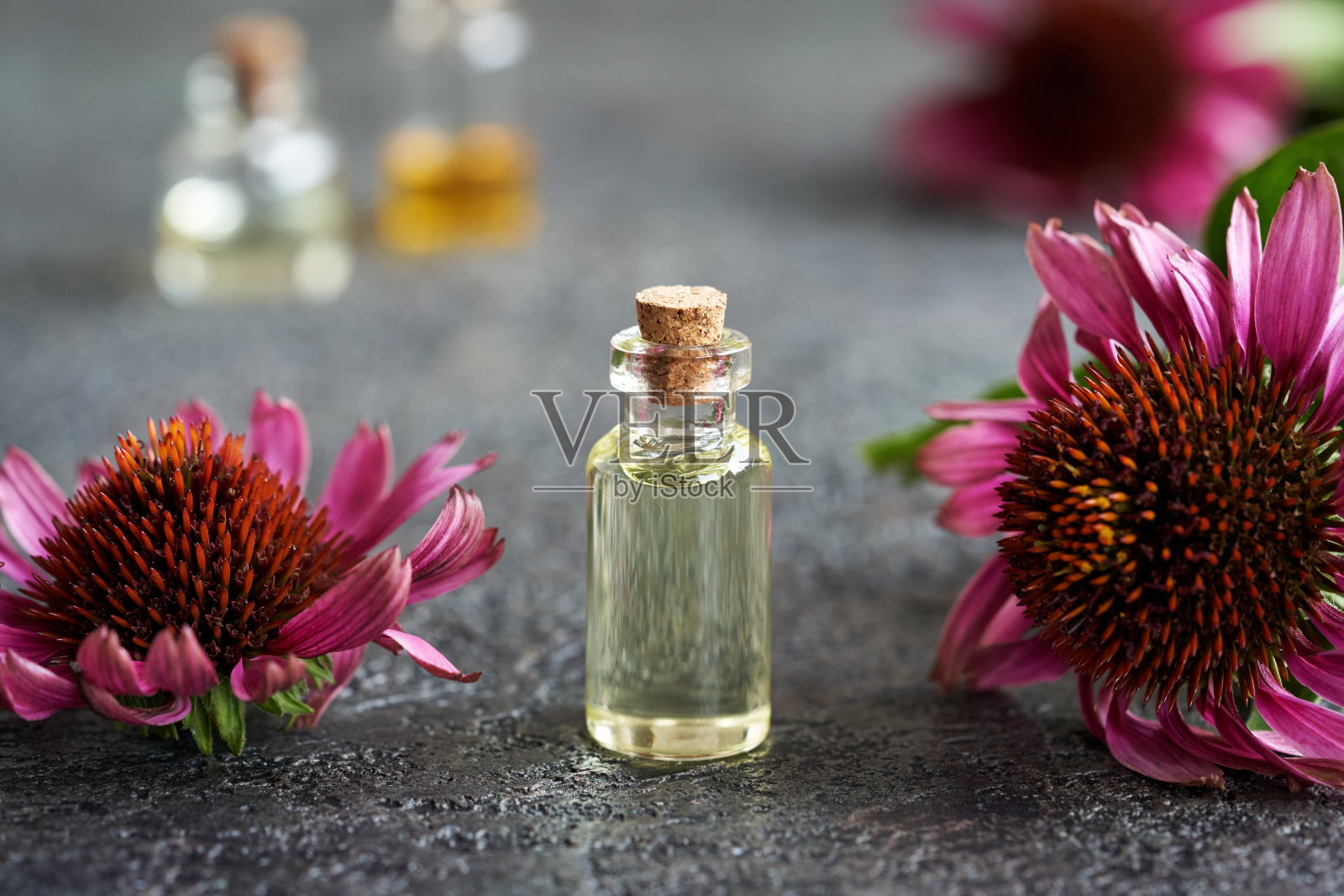 紫锥菊精油放在桌子上照片摄影图片