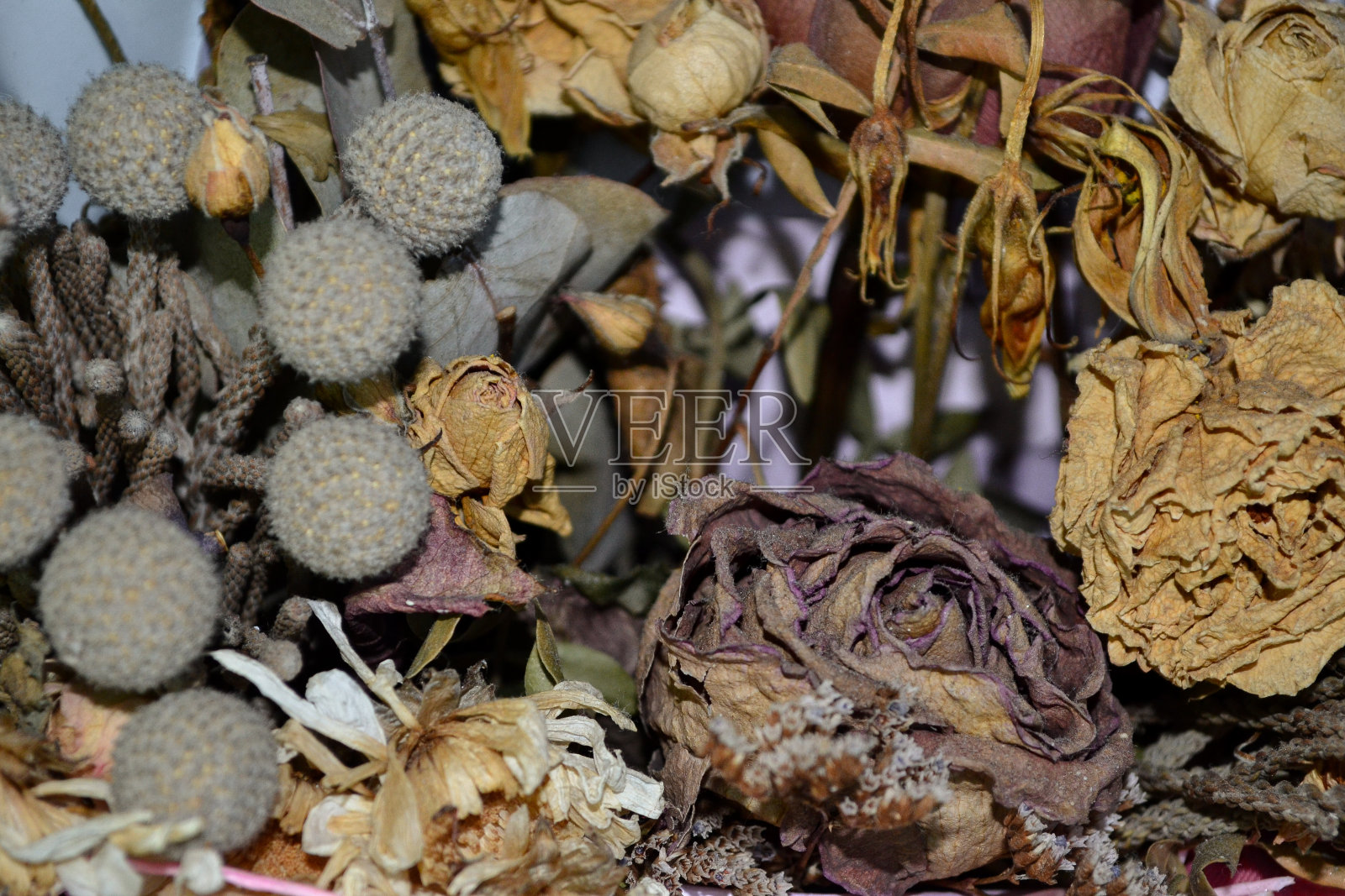 凋谢的花束照片摄影图片