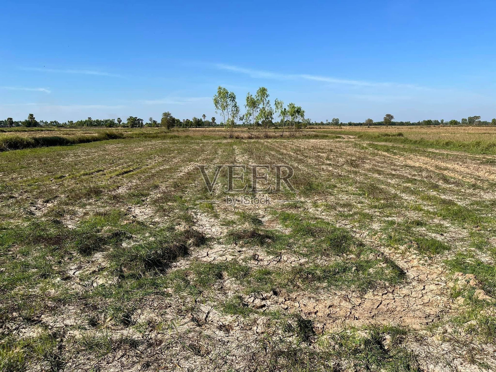 早晨犁过的田地照片摄影图片