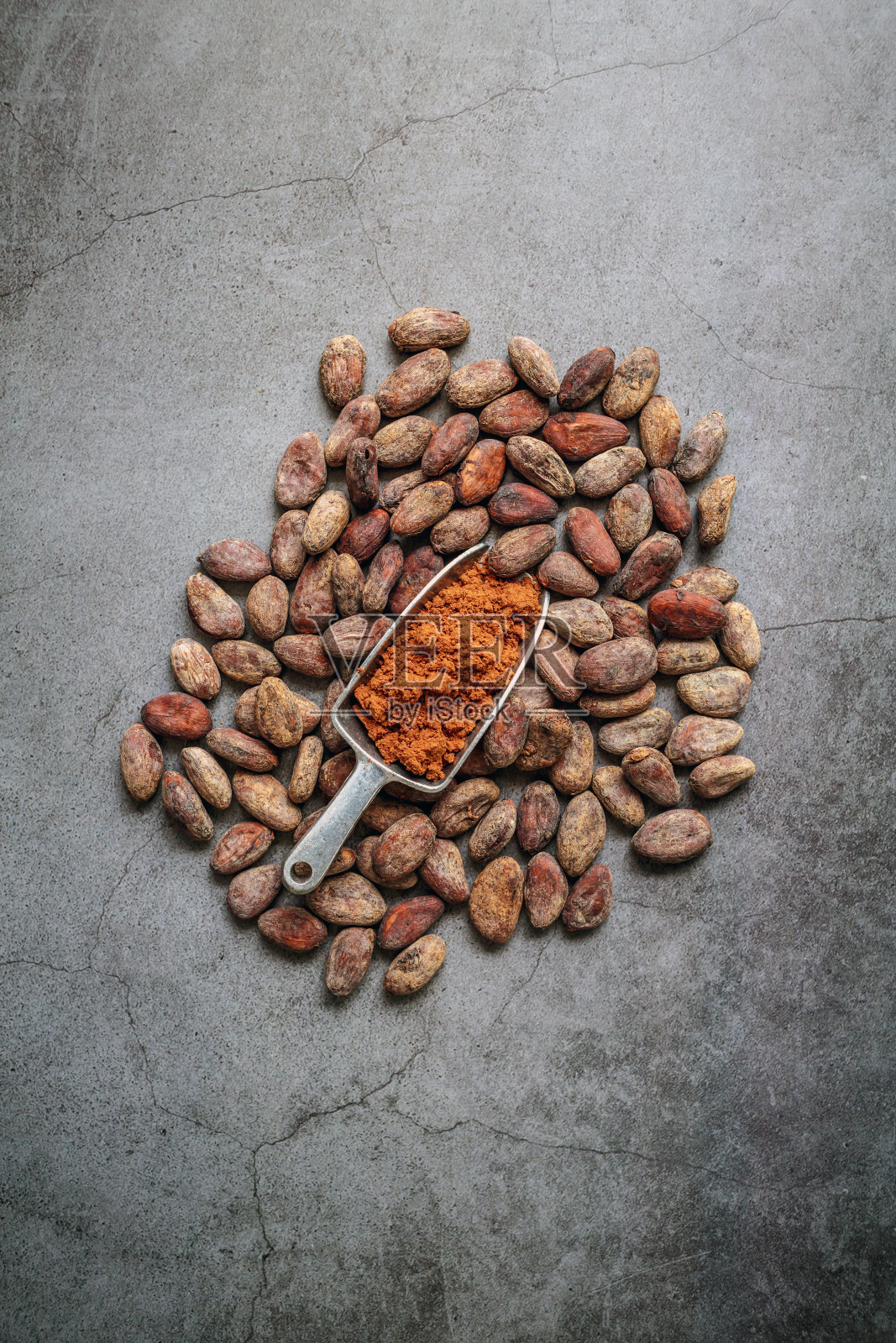 灰色背景上的生可可豆、棕色可可粉和巧克力粉的俯视图照片摄影图片