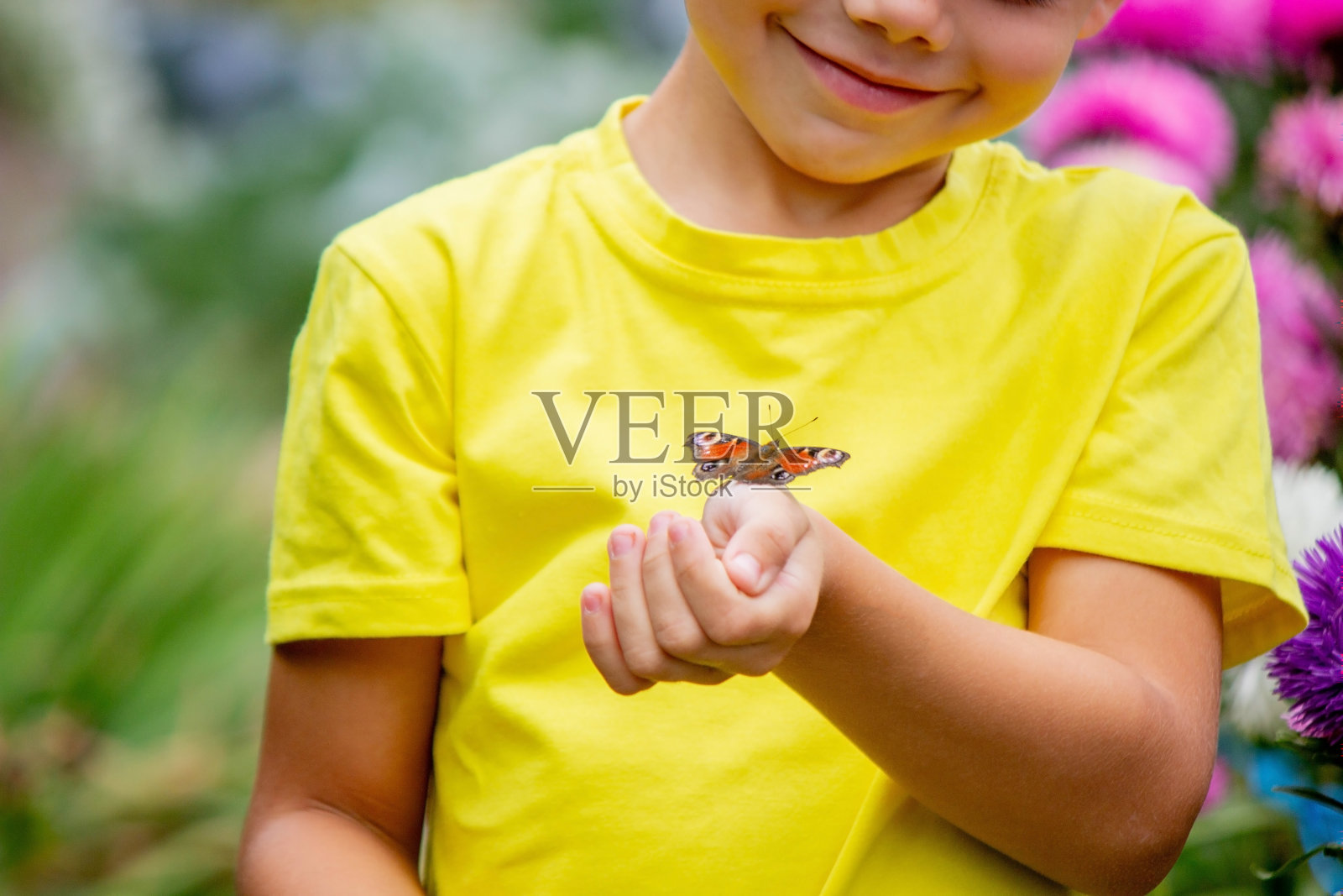 男孩手里拿着一只蝴蝶选择聚焦照片摄影图片